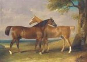 Two Horses Resting by Henry Barraud