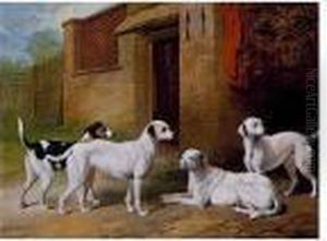 Hounds Outside A Kennel Hounds Outside A Kennel