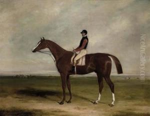 Elis With Jockey Up by William Barraud