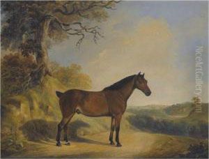 A Pony In A Landscape by William Barraud