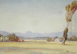 Mid-summer Morning by William Barraud