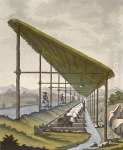Slaves washing the silt to find diamonds at Mandanga, Brazil (late 18th century) by D.K. Bonatti