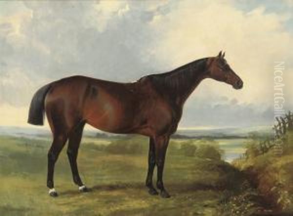 A Bay Hunter In A Landscape - view 1