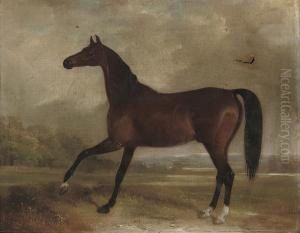 A Chestnut Hunter In A Landscape