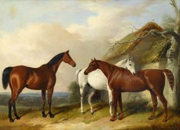 A Bay, A Chestnut And A Grey By A Thatched Cottage - view 1
