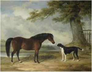 A Pony With A Dog