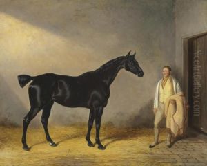 A Dark Bay Hunter With A Groom In A Stable