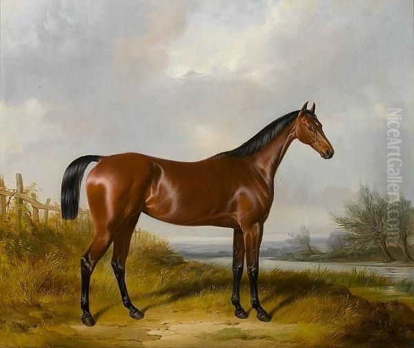 A Bay Hunter By A River - view 1