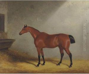 Portrait Of The Hunter Dolla Aged 17 Years In A Loose Box, 1833 by William Barraud