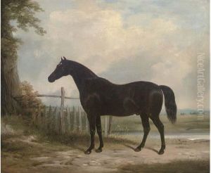 Plato, The Property Of The Marquess Of Hastings Plato, The Property Of The Marquess Of Hastings