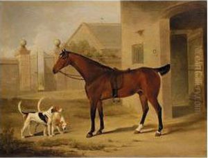 A Bay Hunter And Two Hounds Outside A Stable