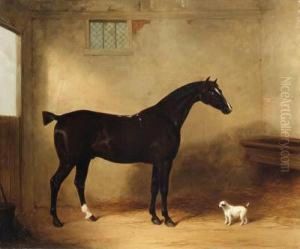 A Bay Hunter And Dog In A Stable by William Barraud
