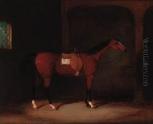 A Bay Hunter Saddled In A Loosebox by William Barraud