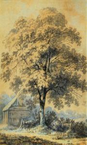 A Tree By A Barn - view 1
