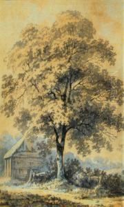 A Tree By A Barn