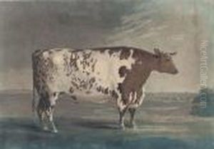 The Ketton Ox, By Robert Pollard
