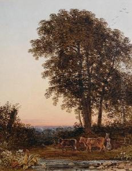 Twilight - view 1