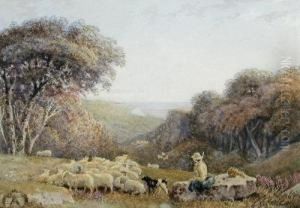 A Shepherd With His Sheep And 
Sheepdog In A Coastallandscape Singed Lower Right "geo Barret 1838" 
Watercolour 24 X34cm Provenance: Private Collection