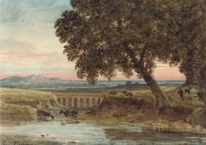 Cattle Watering By A Viaduct In The Evening Light