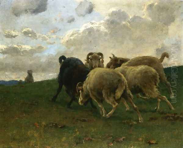 Mountain Goats - view 1