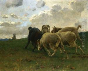 Mountain Goats by Stefano Bruzzi