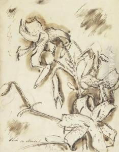 Studie Zu Einer Blume by Paul Basilius Barth