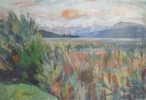 Genfersee Genfersee