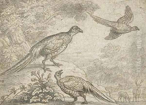 Pheasant in a wooded landscape, with deer beyond - view 1