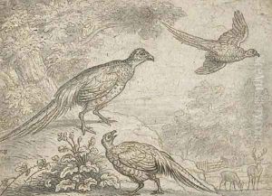 Pheasant in a wooded landscape, with deer beyond by Francis Barlow