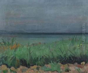 Bodensee. 1951.