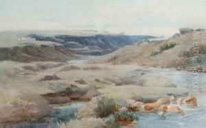 A Donegal Stream by Mary Georgina Barton