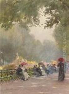 The Row In The Morning