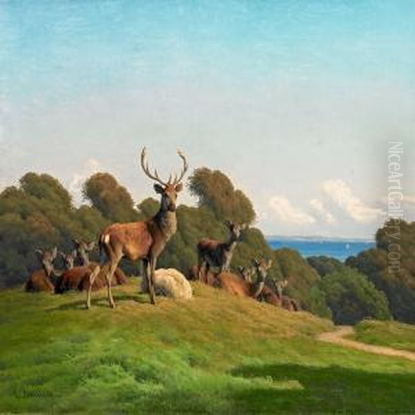 Red Deer - view 1