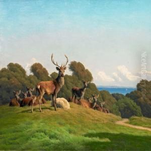 Red Deer by Carl Frederick Bartsch