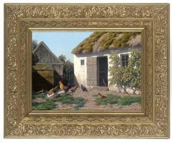 A Cockerel And Hens Feeding In A Farmyard - view 1