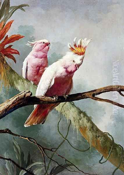 A Pair Of Leadbeaters Cockatoos - view 1