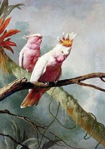A Pair Of Leadbeaters Cockatoos by Jacques Barraband