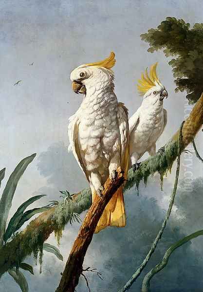 A Pair Of Sulphur-Crested Cocktoos - view 1