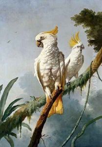 A Pair Of Sulphur-Crested Cocktoos by Jacques Barraband