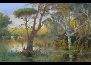 Moorlandschaft by Pietro Barucci