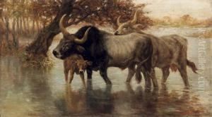 Bufali Nella Palude by Pietro Barucci