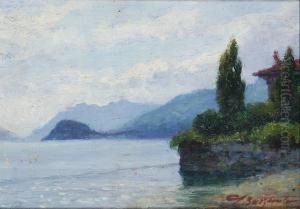 Punta Di Bellagio by Licinio Barzanti