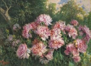 Peonie Nel Paesaggio