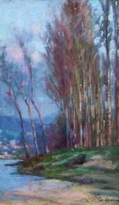 Hohe Baume Am Flussufer Hohe Baume Am Flussufer