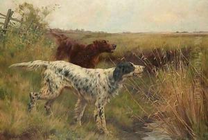 An English setter and an Irish setter in a landscape 1901 by Thomas Blinks