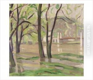 Arbres Au Bord De La Saone by Adrien Bas