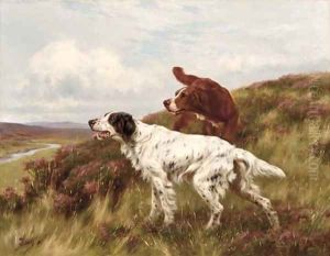 An English and an Irish Setter on a Moor by Thomas Blinks