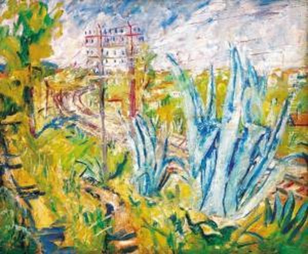 Landscape In South - France - view 1