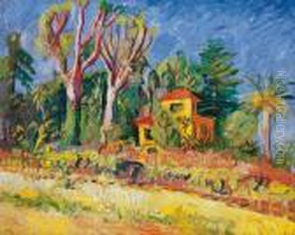 Landscape In South France - view 1
