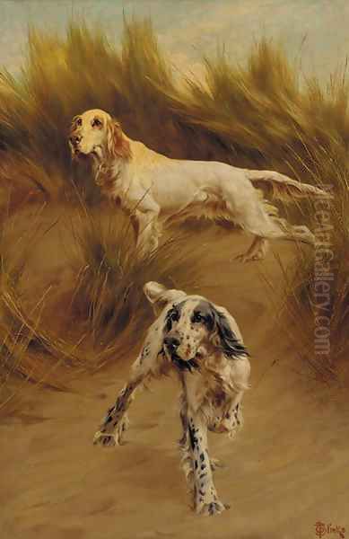 Setters in the dunes - view 1